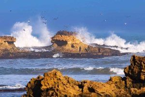 Dagstur i liten gruppe fra Marrakech til Essaouira Mogador
