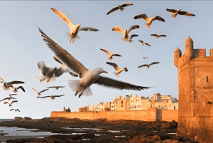 Dagstur i liten gruppe fra Marrakech til Essaouira Mogador