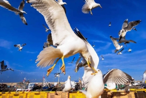 Dagstur i liten gruppe fra Marrakech til Essaouira Mogador