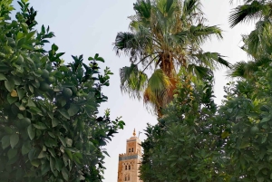 L'étincelante Marrakech à travers les yeux de votre Guide de région