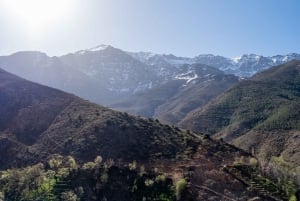 Marrakeshista: Atlasvuorten Talamroutin huippukokouksen päiväretki