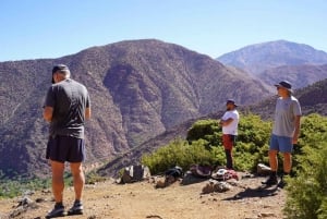 From Marrakech: Atlas Mountains Summit Trek