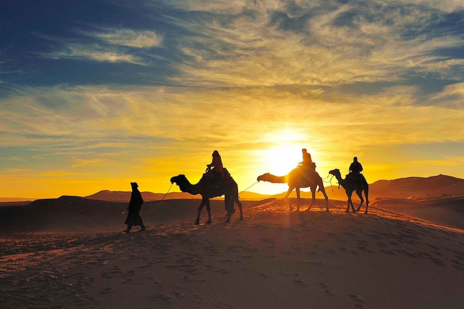 Kamelritt bei Sonnenuntergang: Kamelritt in Marrakesch Palmeraie