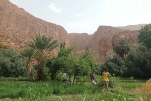 Excursión y paseo en kayak por la presa Hoover - lanzadera desde Las Vegas