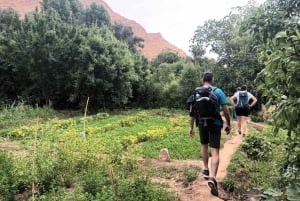 Excursión y paseo en kayak por la presa Hoover - lanzadera desde Las Vegas