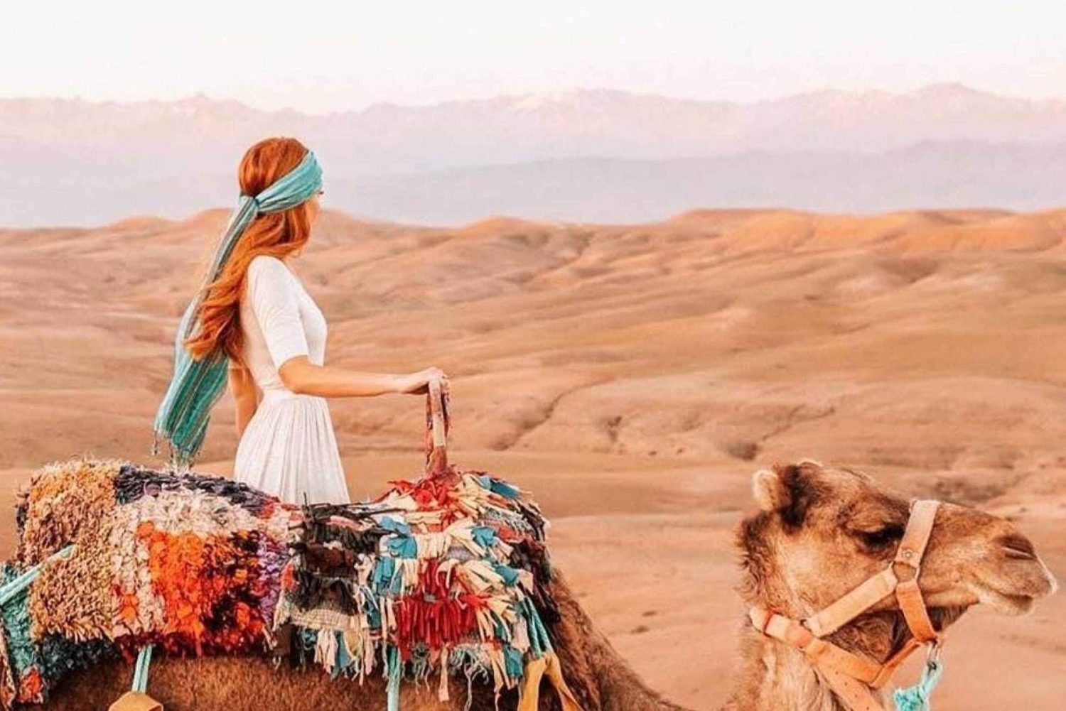 Von Marrakech aus: Kamelritt bei Sonnenuntergang in der Wüste von Agafay
