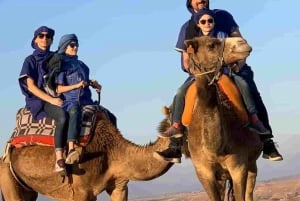 Von Marrakech aus: Kamelritt bei Sonnenuntergang in der Wüste von Agafay