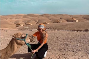 Från Marrakech : Kamelritt i solnedgången i Agafayöknen