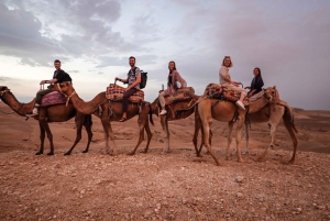 Från Marrakech : Kamelritt i solnedgången i Agafayöknen