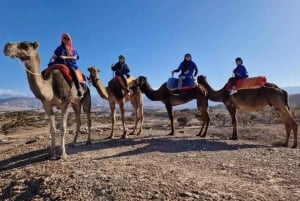 Marrakechista : Auringonlaskun kameliratsastus Agafayn autiomaassa