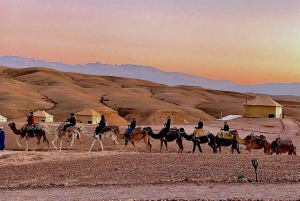 Desde Marrakech :Paseo en camello al atardecer en el desierto de Agafay