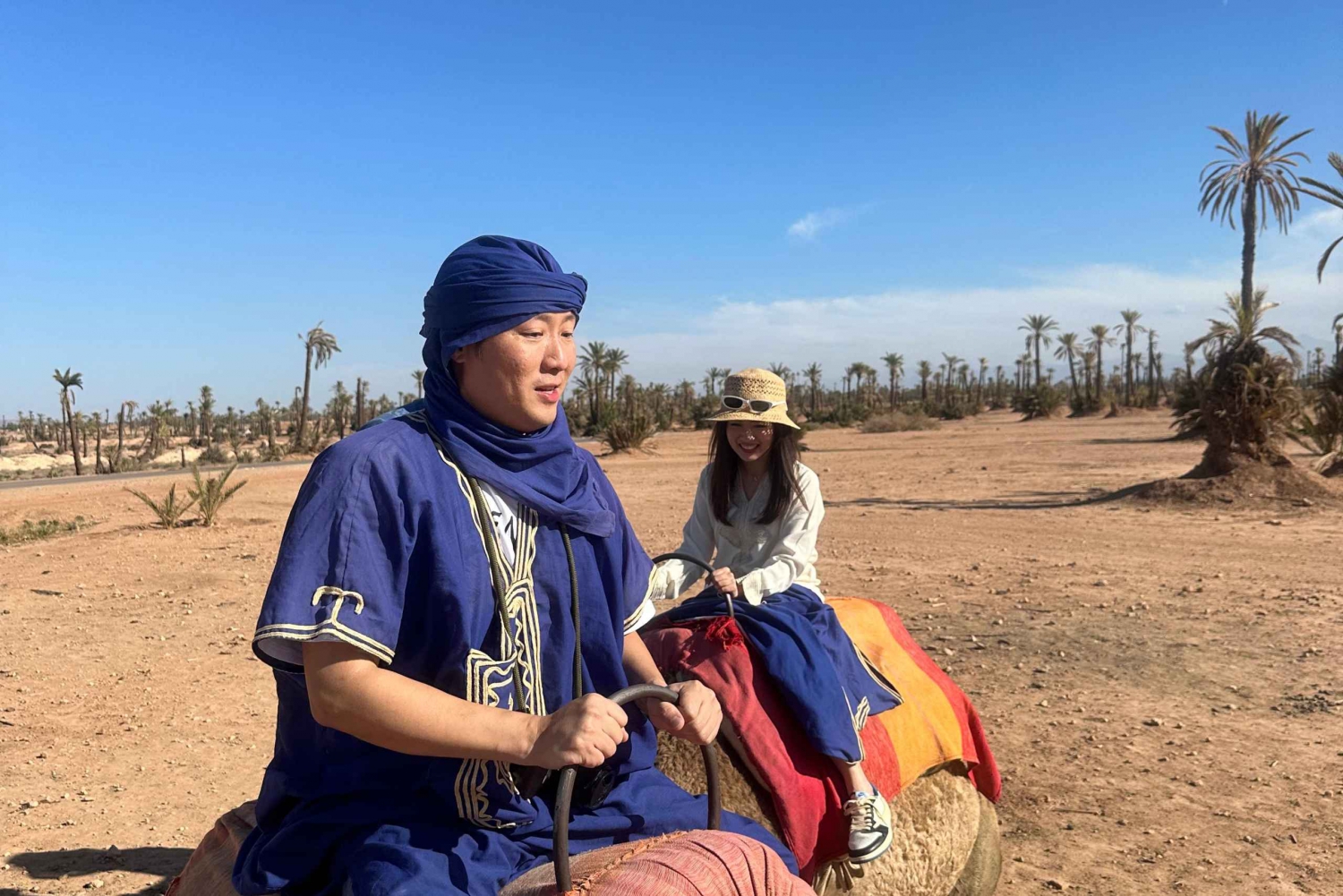 Sunset Camel Ride in Desert & Palm Grove with Tea & Transfer
