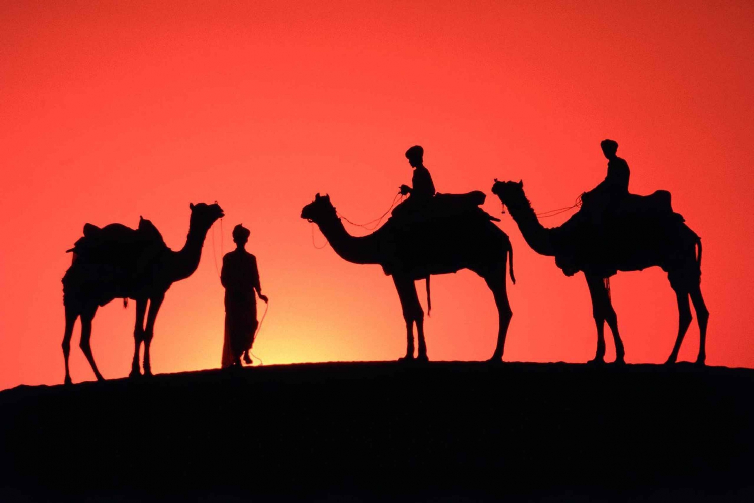 Sunset Camel Ride in the Marrakech Palmeraie