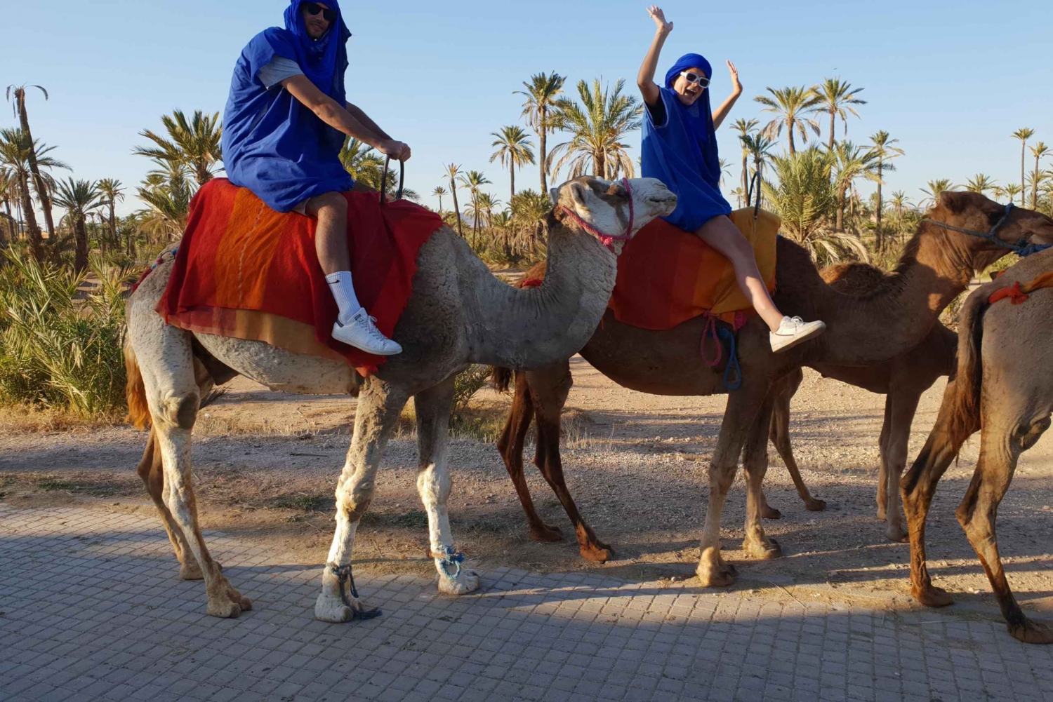 Sunset Camel Ride in the Marrakech Palmeraie