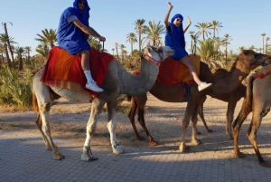 Sunset Camel Ride in the Marrakech Palmeraie