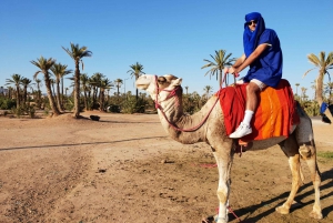 Sunset Camel Ride in the Marrakech Palmeraie