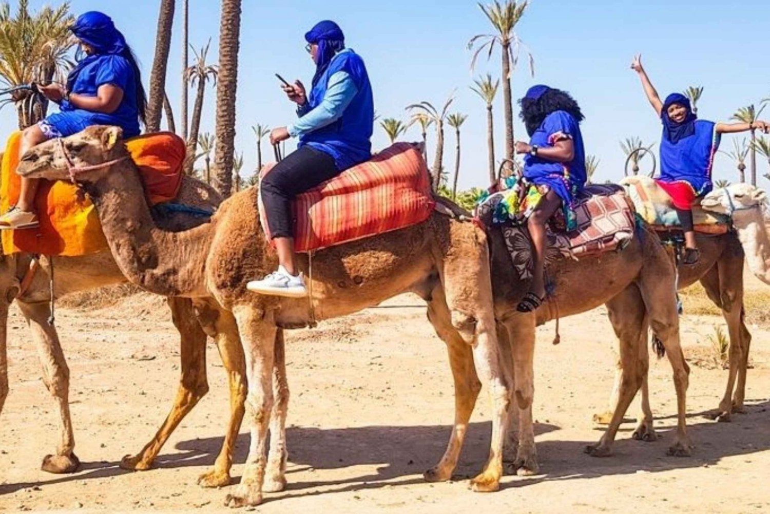 Ridtur på kamel i palmelunden i Marrakech