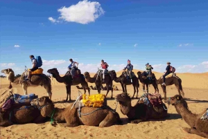 Giro in cammello nel palmeto di Marrakech