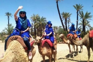 Kamelenrit in de palmbossen van Marrakech