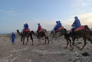 Sunset Camel Ride & Quad Tour In Agafay Desert With Dinner