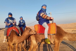 Sunset Camel Ride & Quad Tour In Agafay Desert With Dinner
