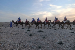 Sunset Camel Ride & Quad Tour In Agafay Desert With Dinner