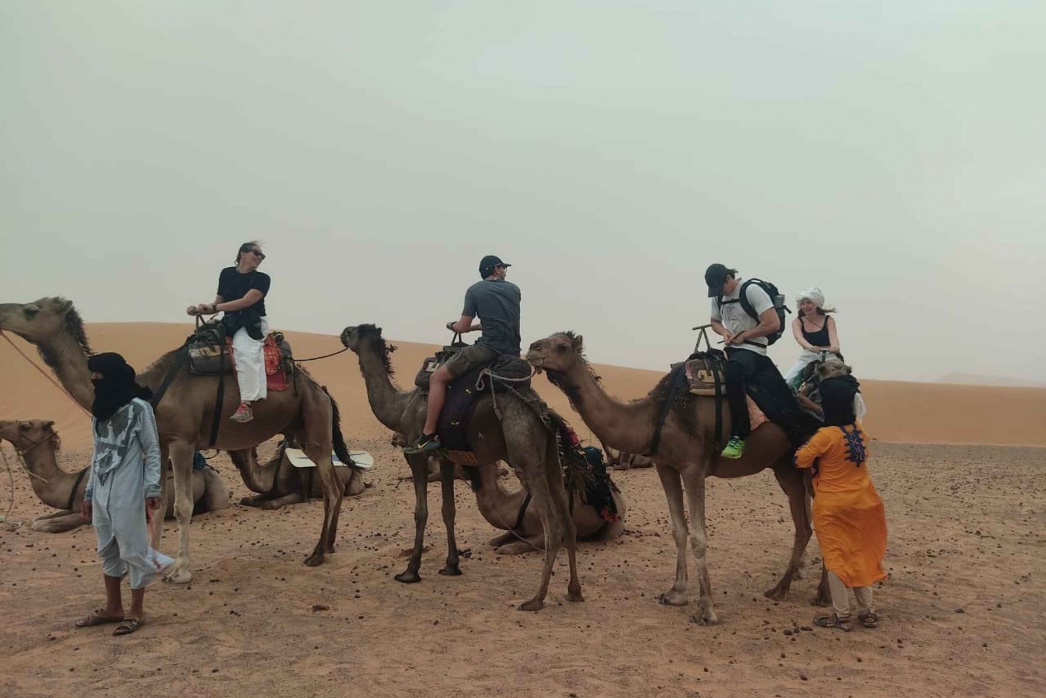 Sunset Camel Ride Tour At Palm Grove Marrakech