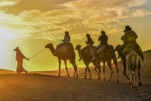 Paseo en camello al atardecer con una cena auténtica en un oasis