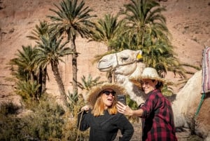 Paseo en camello al atardecer con una cena auténtica en un oasis