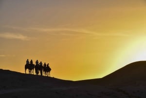 Paseo en camello al atardecer con una cena auténtica en un oasis