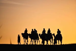 Paseo en camello al atardecer con una cena auténtica en un oasis