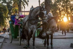 Tour de la ciudad al atardecer: Zocos y Medina con Caleche de Noche