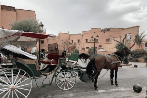 Tour de la ciudad al atardecer: Zocos y Medina con Caleche de Noche