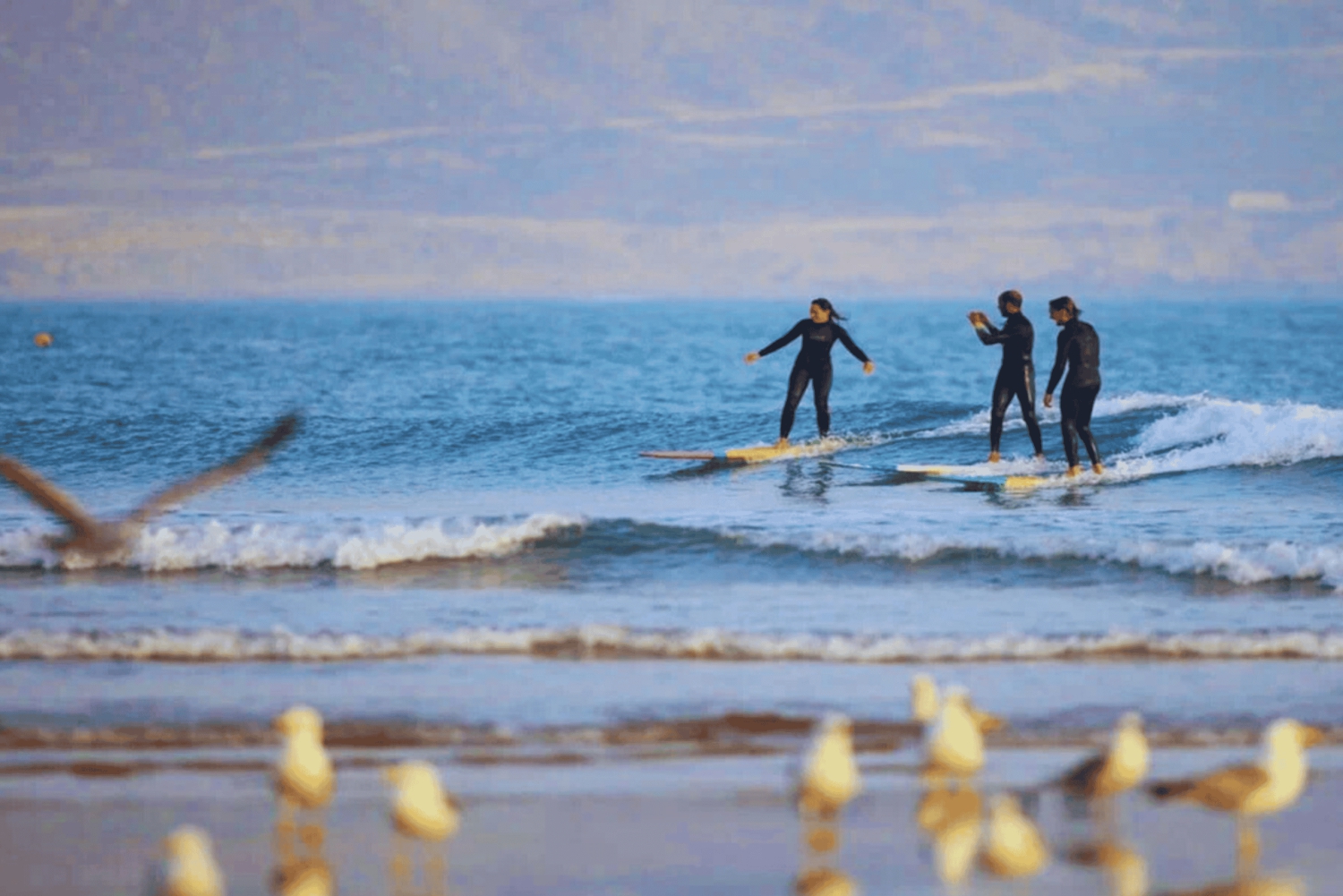 Cours de surf et déjeuner lors d'une excursion d'une journée à Essaouira au départ de Marrakech