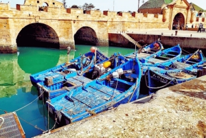 Clases de surf y almuerzo en excursión de un día a Essaouira desde Marrakech