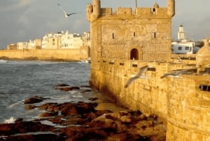 Clases de surf y almuerzo en excursión de un día a Essaouira desde Marrakech