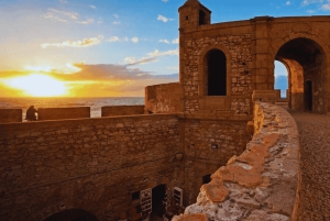 Cours de surf et déjeuner lors d'une excursion d'une journée à Essaouira au départ de Marrakech