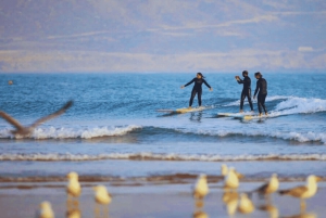 Cours de surf et déjeuner lors d'une excursion d'une journée à Essaouira au départ de Marrakech