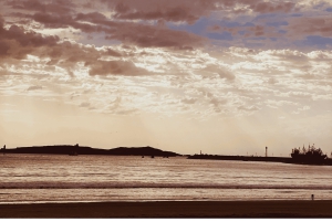 Cours de surf et déjeuner lors d'une excursion d'une journée à Essaouira au départ de Marrakech