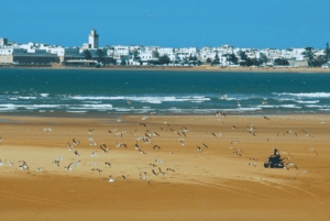 Cours de surf et déjeuner lors d'une excursion d'une journée à Essaouira au départ de Marrakech
