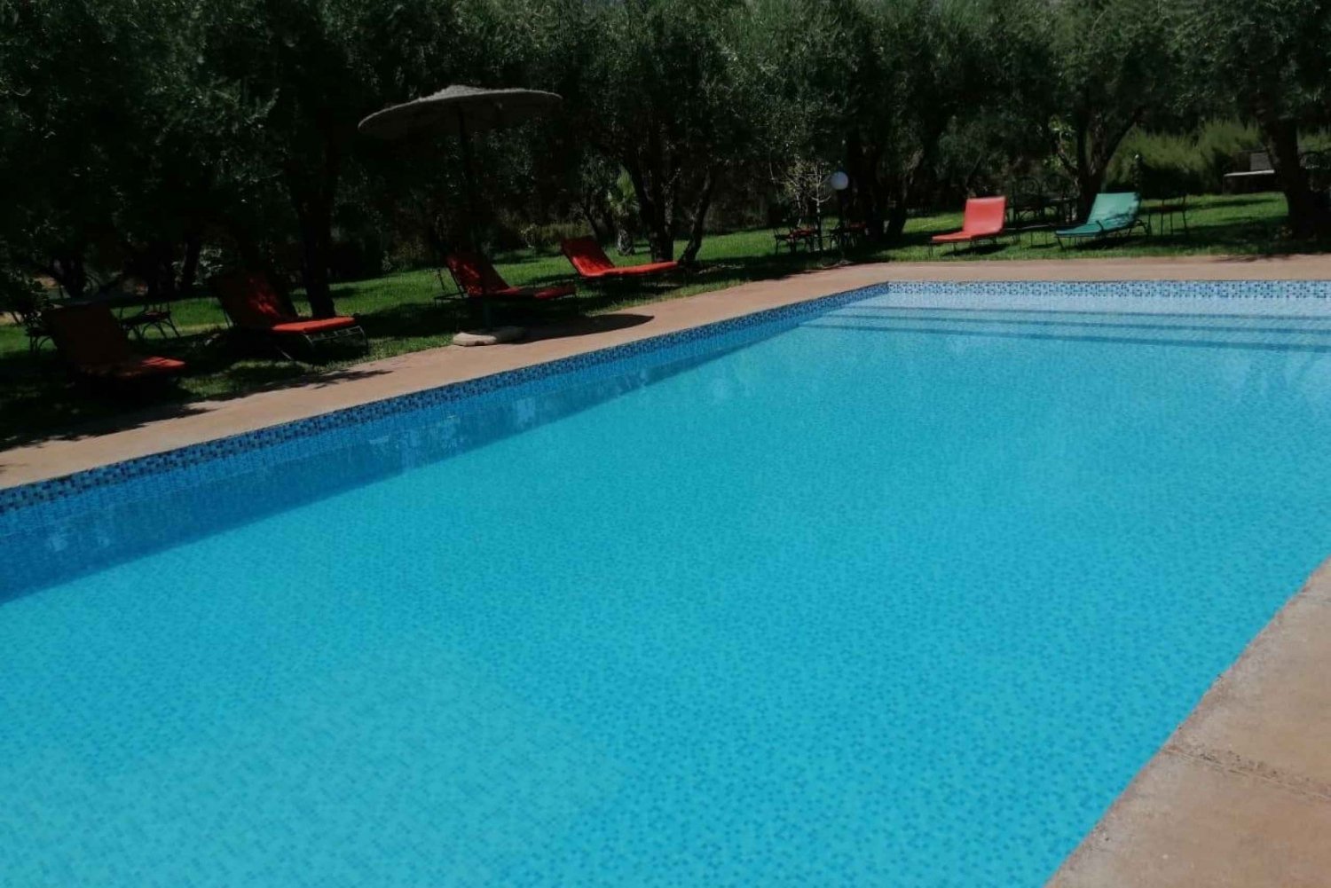 Marrakech: Ourika Valley Waterfall med guidad vandring