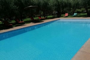Marrakech: Ourika Valley Waterfall med guidet fottur og lunsj
