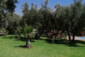 Marrakech: Ourika Valley Waterfall med guidet fottur og lunsj