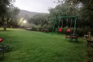 Marrakech: Ourika Valley Waterfall med guidet fottur og lunsj