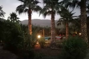 Marrakech: Ourika Valley Waterfall med guidet fottur og lunsj
