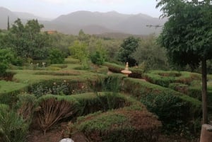 Marrakech: Ourika Valley Waterfall med guidet fottur og lunsj