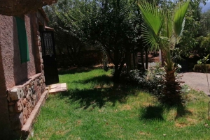 Marrakech: Ourika Valley Waterfall med guidet fottur og lunsj
