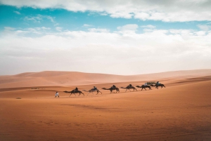 Den luksuriøse 2-dages 1-nat ørken-tur fra Fez til Fez/Marrakesh