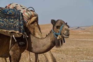 Marraquexe: 4 vales, aldeias berberes e caminhada nas montanhas do Atlas