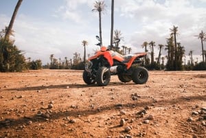 Marrakesch: Quad-Ausflug in die Palmenoase und die Wüste Jbilat, Tee